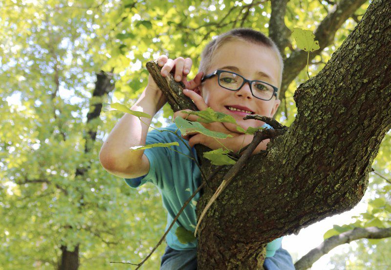 7-year-old's fundraiser to benefit St. Jude